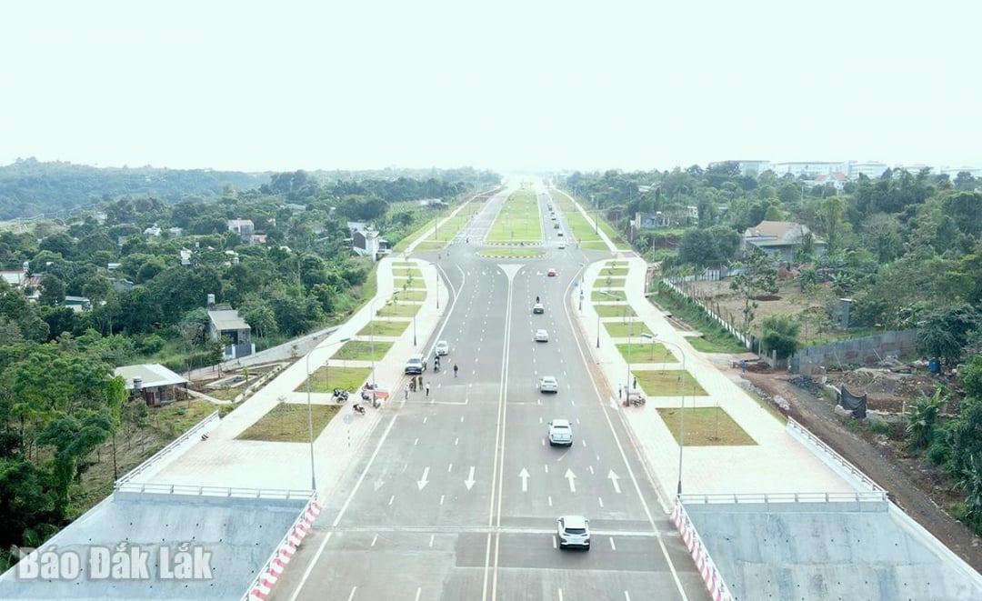 Nửa thế kỷ và hành trình phát triển