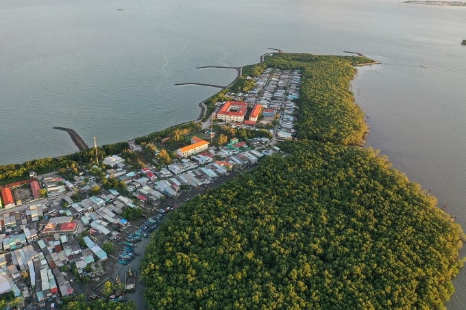 Thanh An island commune, Can Gio district, October 2021. Photo: Quynh Tran