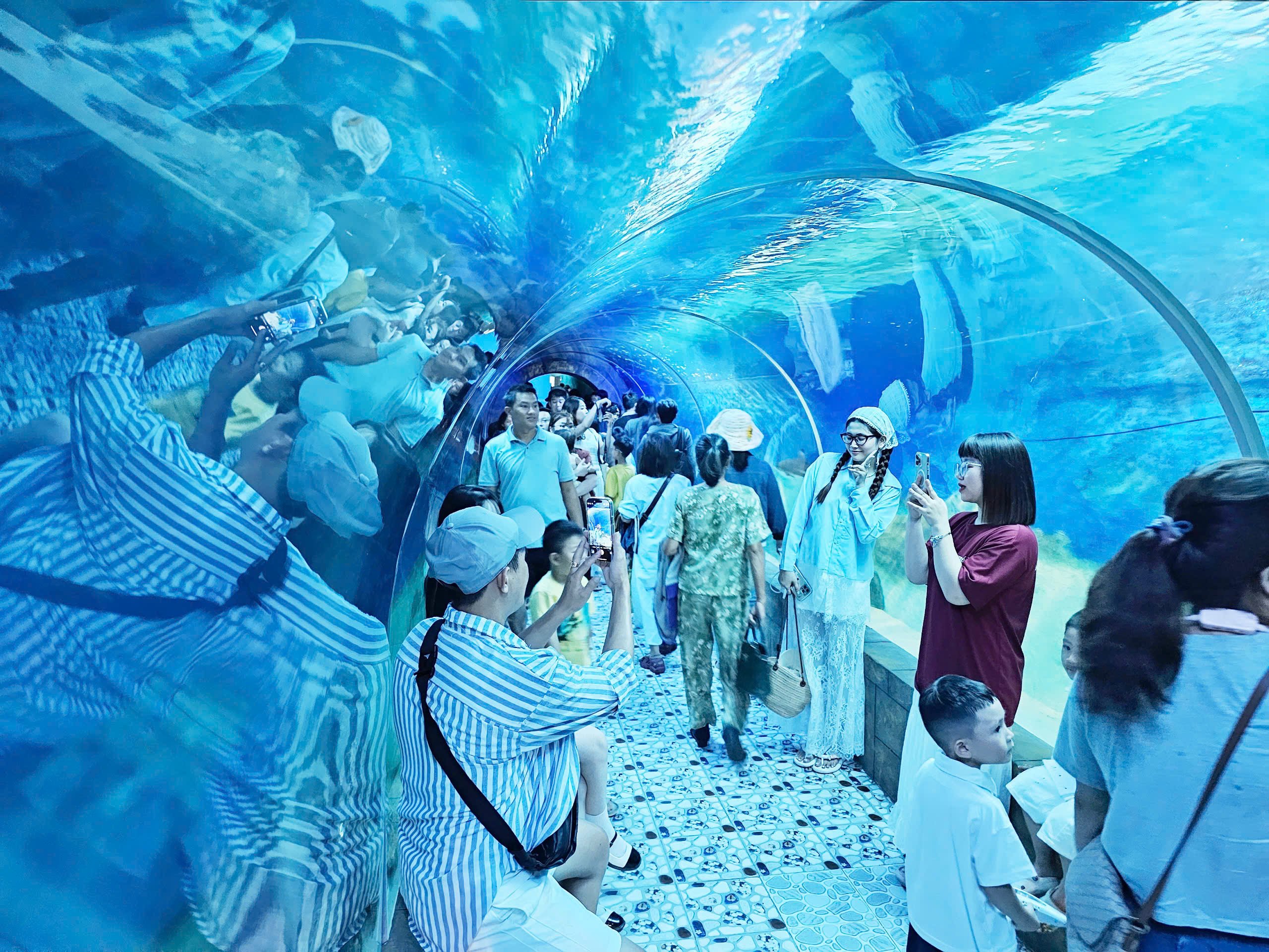 Du khách chen kín ngắm cá tại Bảo tàng Hải dương học Nha Trang - Ảnh 6.