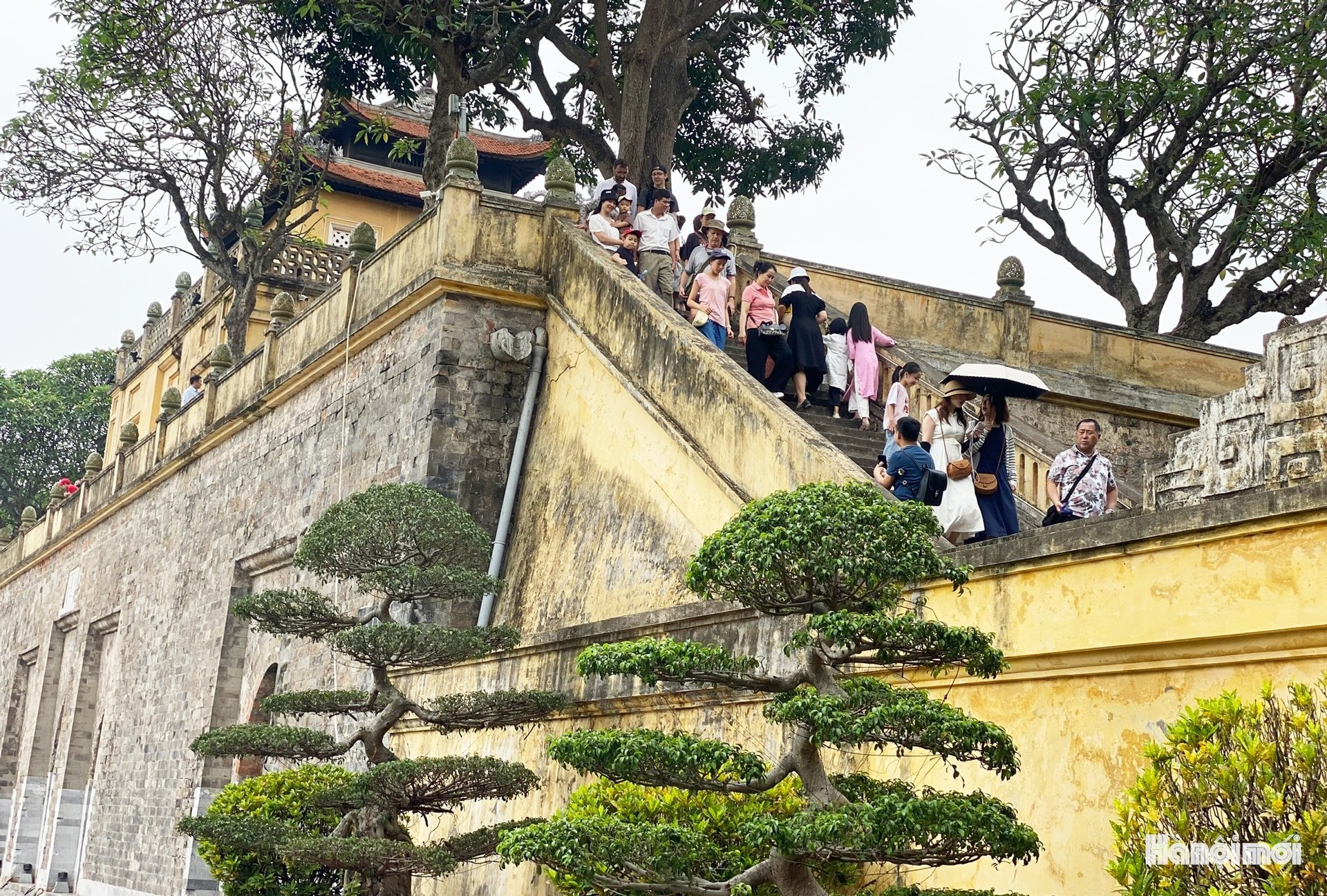 W_hnm-hoangthanh01b.jpg