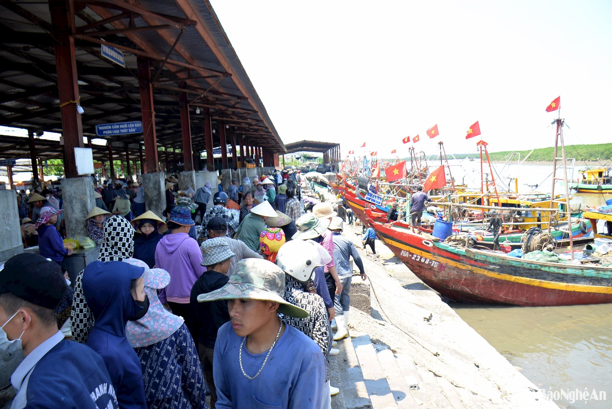cảng cá 5