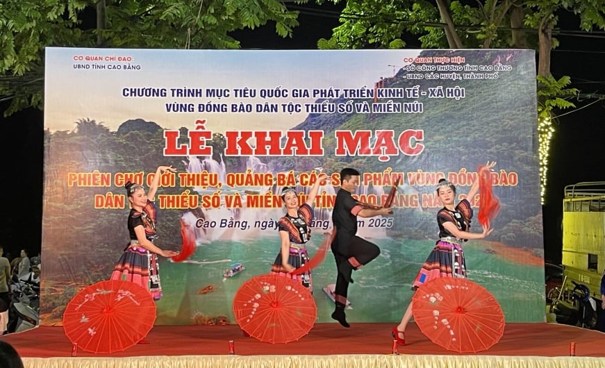 Biểu diễn văn nghệ tại lễ khai mạc.
