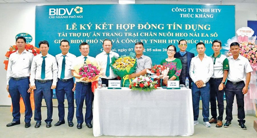2-3-bidv.jpg