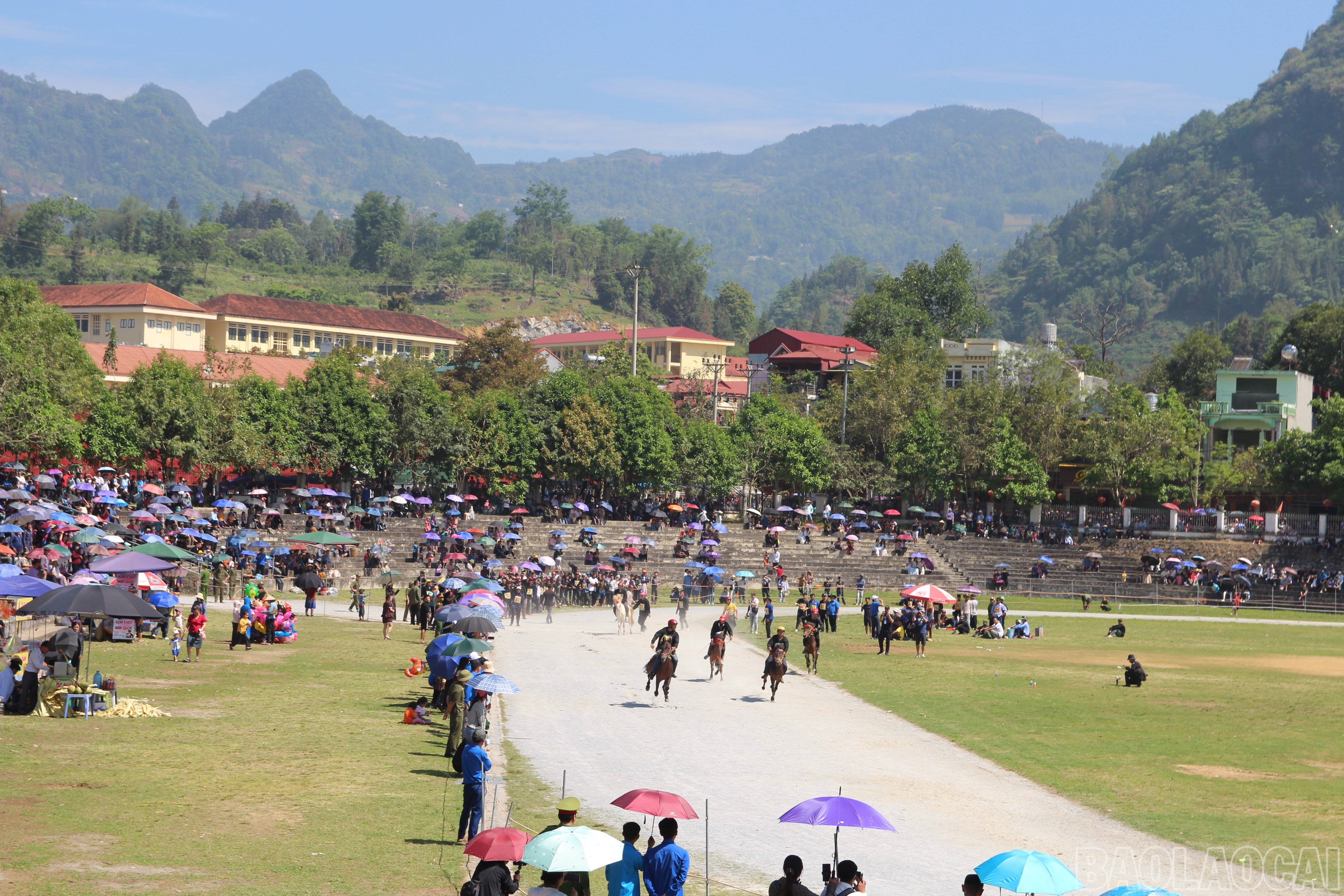 baolaocai-br_img-0996.jpg