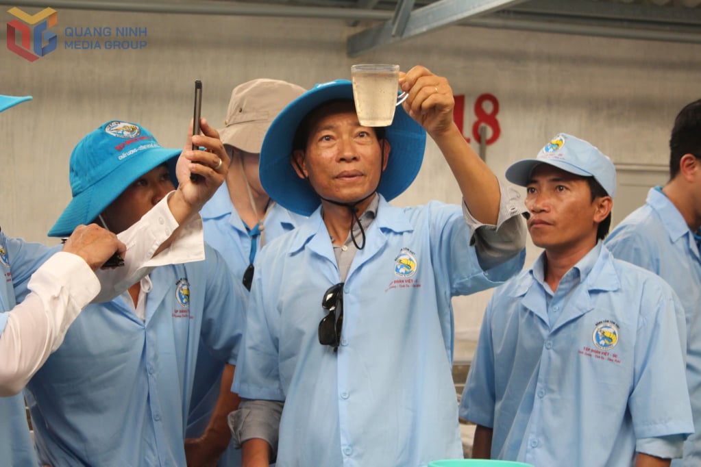 Mr. Luong Thanh Van, Chairman of the Board of Directors of Viet Uc Group during the inspection of the production of Viet Uc - Quang Ninh Company Limited in 2024