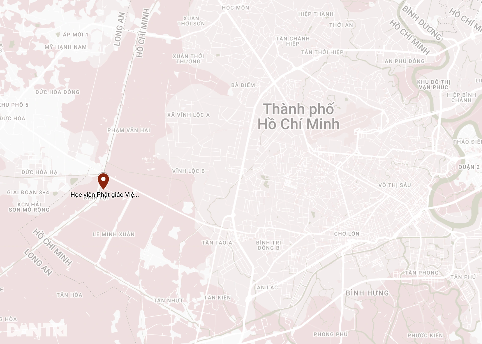 10.webp