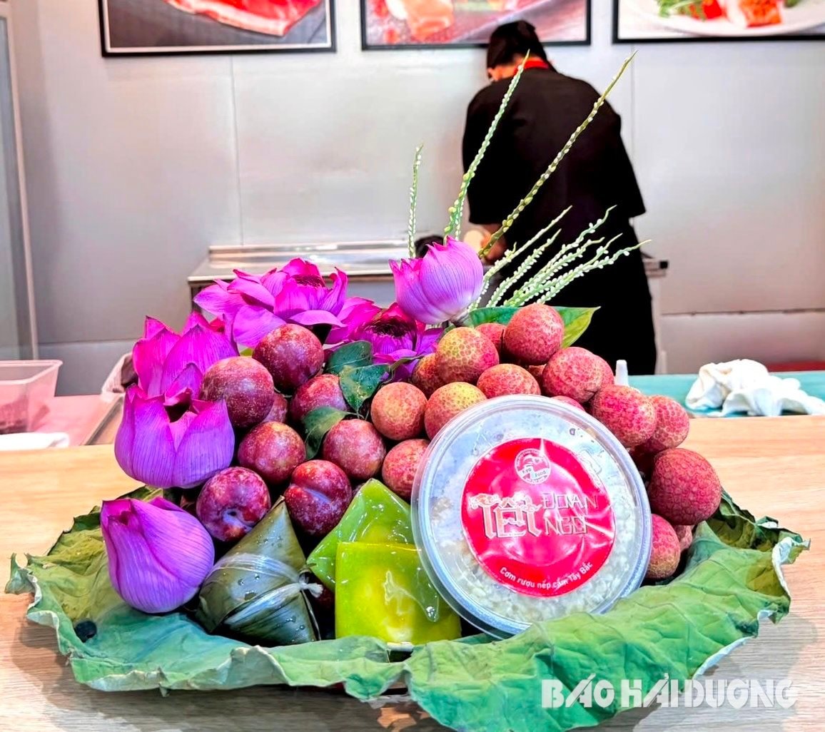 doan-ngo-8.jpg