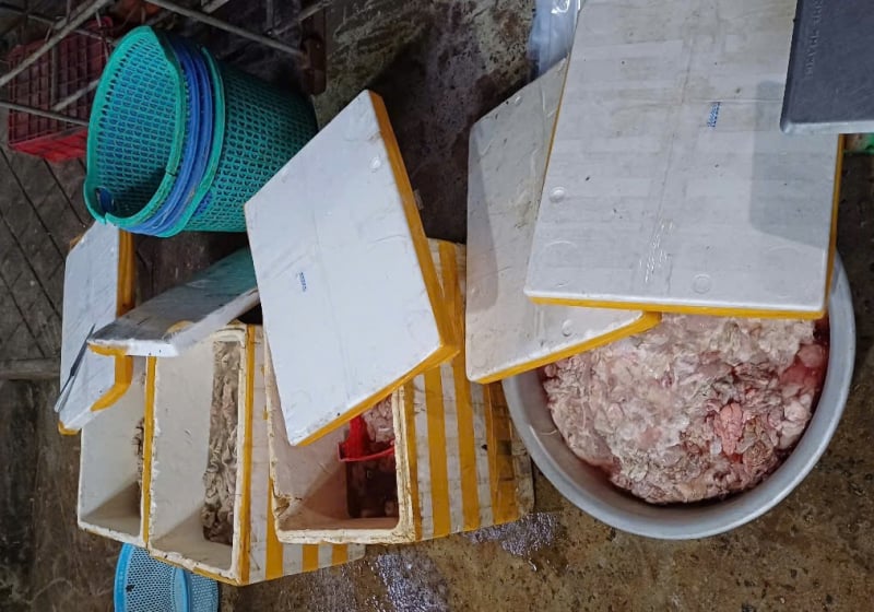 Le nom de la société C.P Vietnam a été imprimé sur l'emballage contenant des tonnes d'organes et de viande d'origine inconnue à Da Nang -0