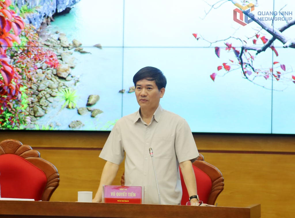 Đồng chí Vũ Quyết Tiến, Phó Bí thư Tỉnh ủy, phát biểu tại hội nghị.