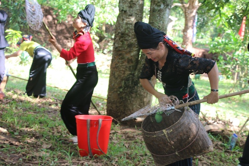 Phần thi hái xoài đã mang đến không khí náo nhiệt cho ngày hội.
