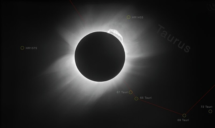 nhat-4.png