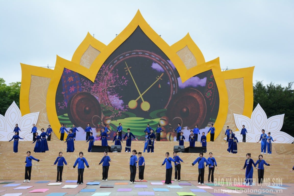 dsc,5472,09122930.jpg