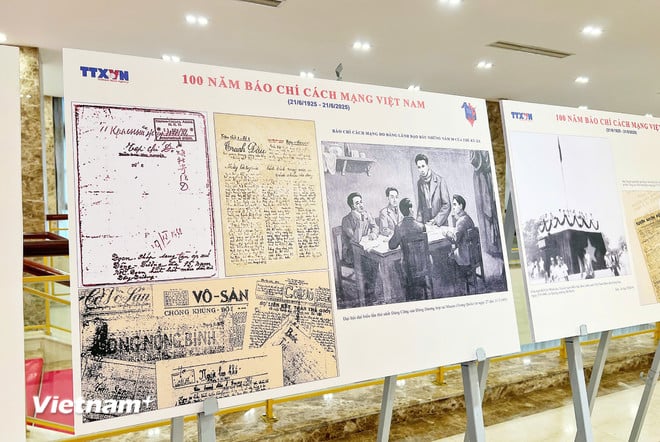 vnp-hoi-thao-bao-chi-3-7643.jpg