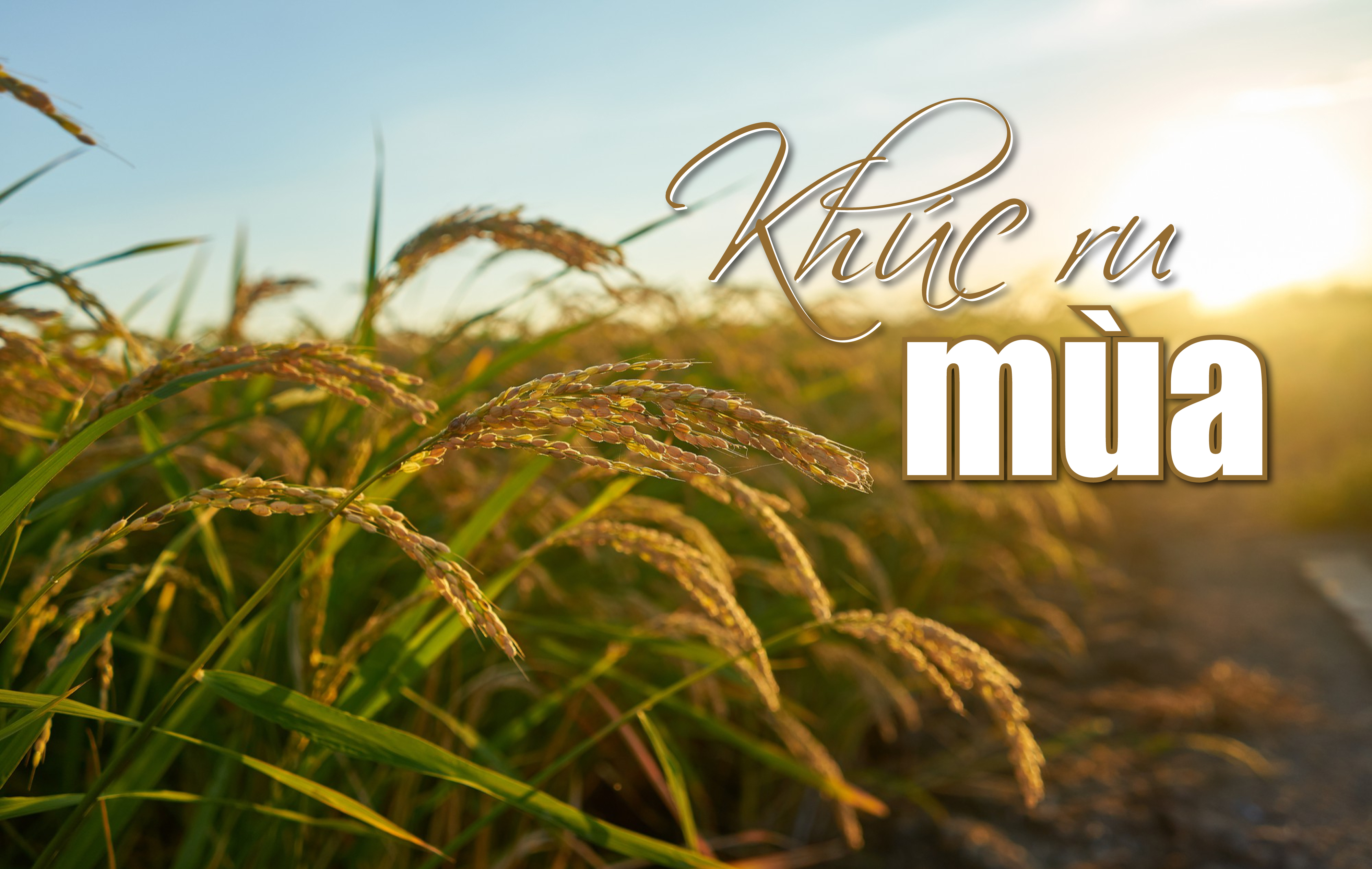 [E-magazin]: Lullaby of the Season