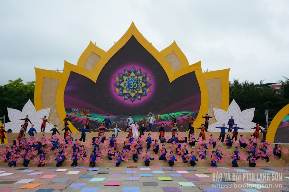 dsc,5443,09120630.jpg