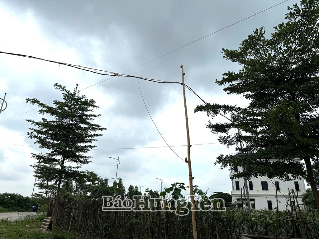 Người dân khu dân cư mới Vi Văn ở xã Liên Phương (thành phố Hưng Yên) tự dựng cột tạm thời để kéo đường điện từ các hộ dân sinh sống tại khu vực quốc lộ 39A để sử dụng