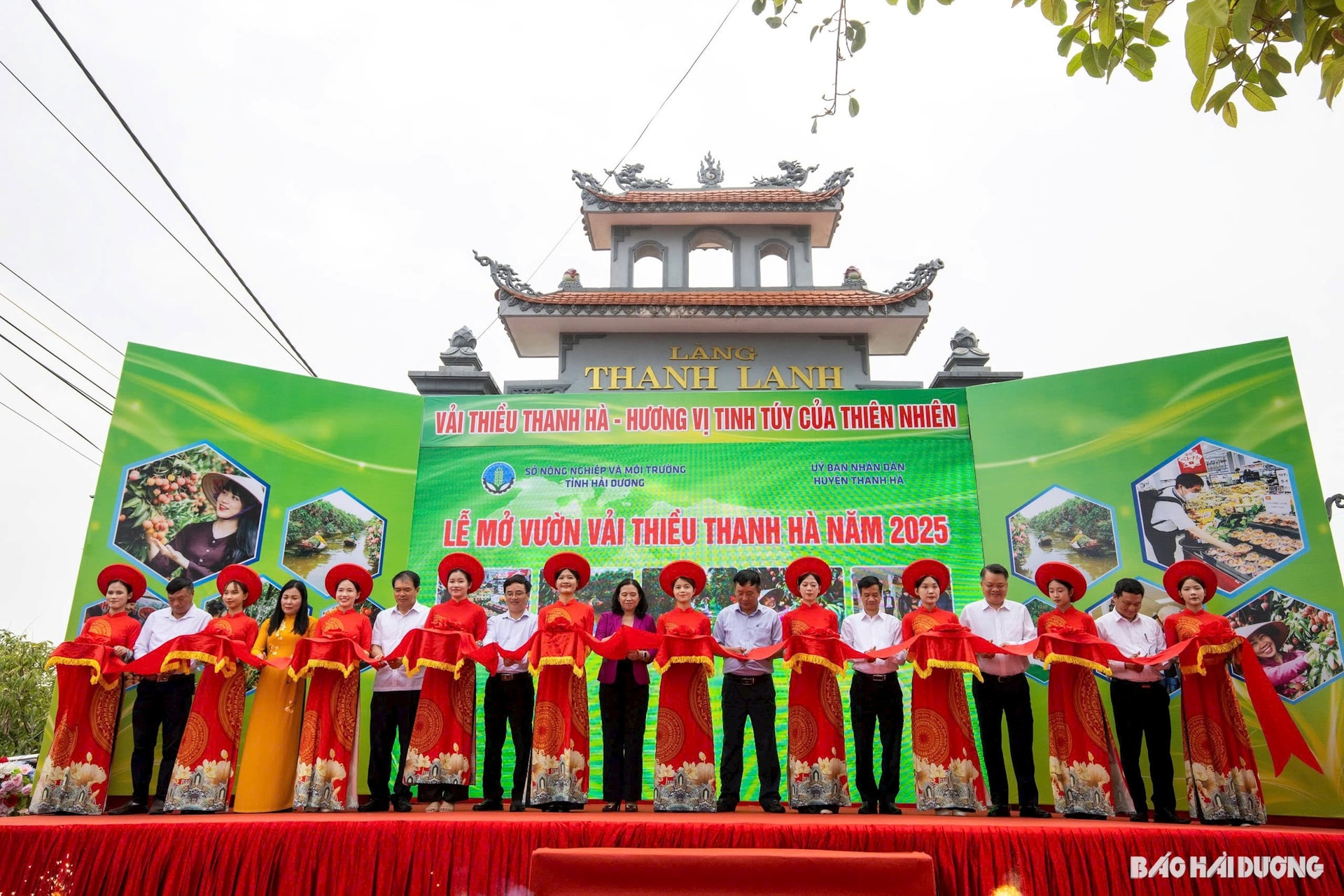 ង្វៀន-ង៉ុក-ប៊ីច.jpg