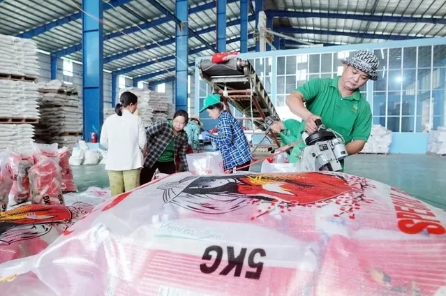 Tin Công Thương 30/5: Giá gạo Việt tăng đến 90 USD/tấn, lượng đứng thứ 2 thế giới