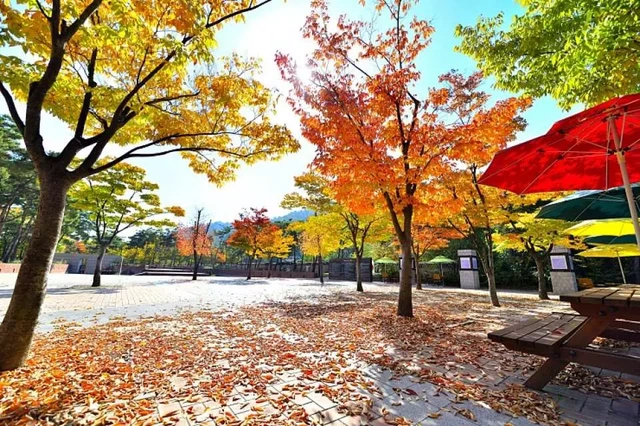 grand-parc-incheon-espace-vert-de-la-ville.webp