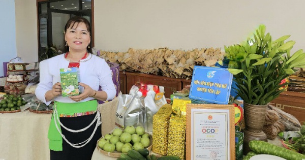 សាបព្រួសគ្រាប់ពូជពីដើមតែ បង្កើតផលដោយសេចក្តីជំនឿ