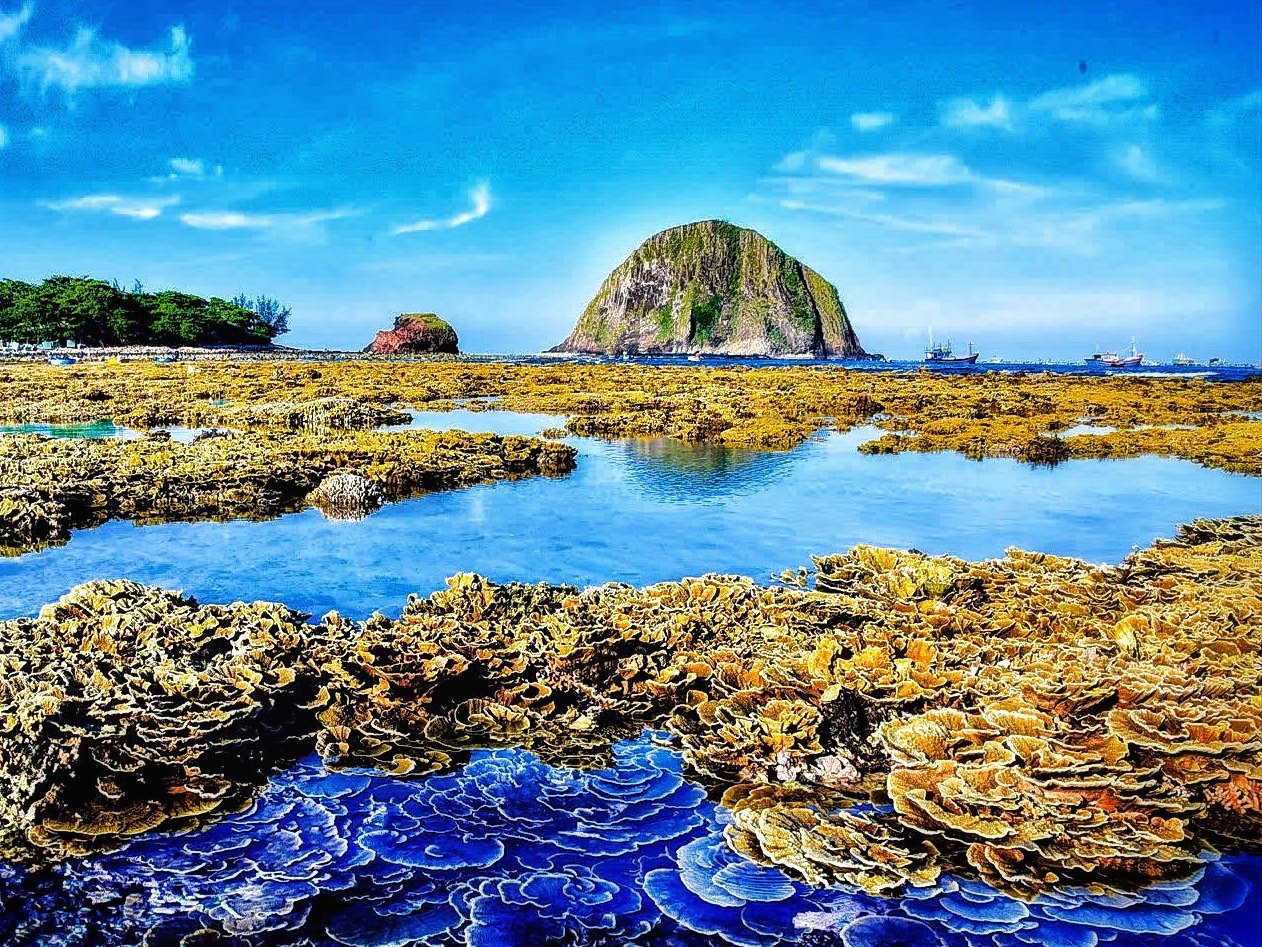 Hòn Yến - Hòn Đụn và tình thân hóa đá- Ảnh 4.