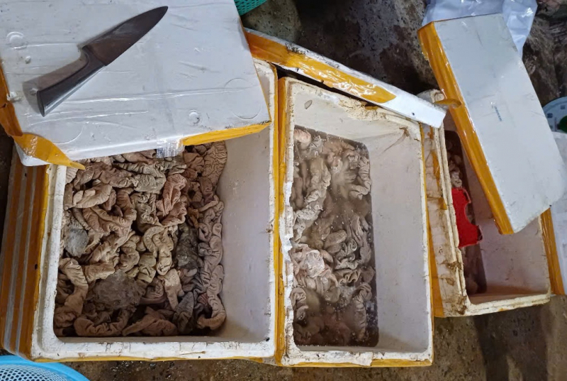 Le nom de la société C.P Vietnam a été imprimé sur l'emballage contenant des tonnes d'organes et de viande d'origine inconnue à Da Nang -0
