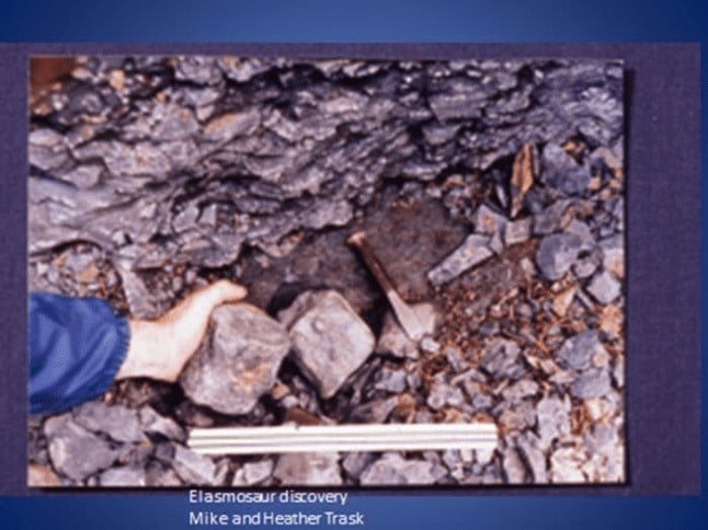 loai-6.jpg