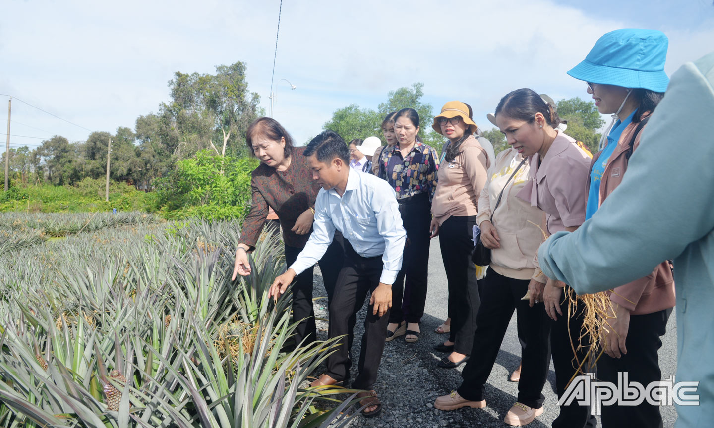 មន្ត្រី និង HVPN បានទៅទស្សនាគំរូ 