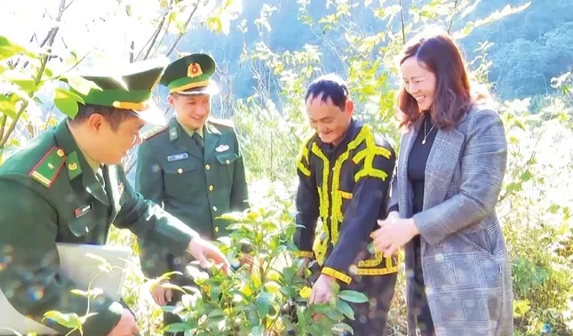 Đồng hành cùng phụ nữ biên cương giảm nghèo bền vững ảnh 1