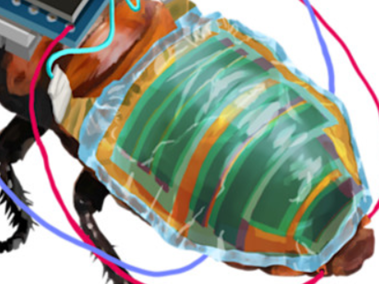 8-9496.png