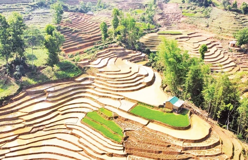 Y Tý mùa nước đổ ảnh 2