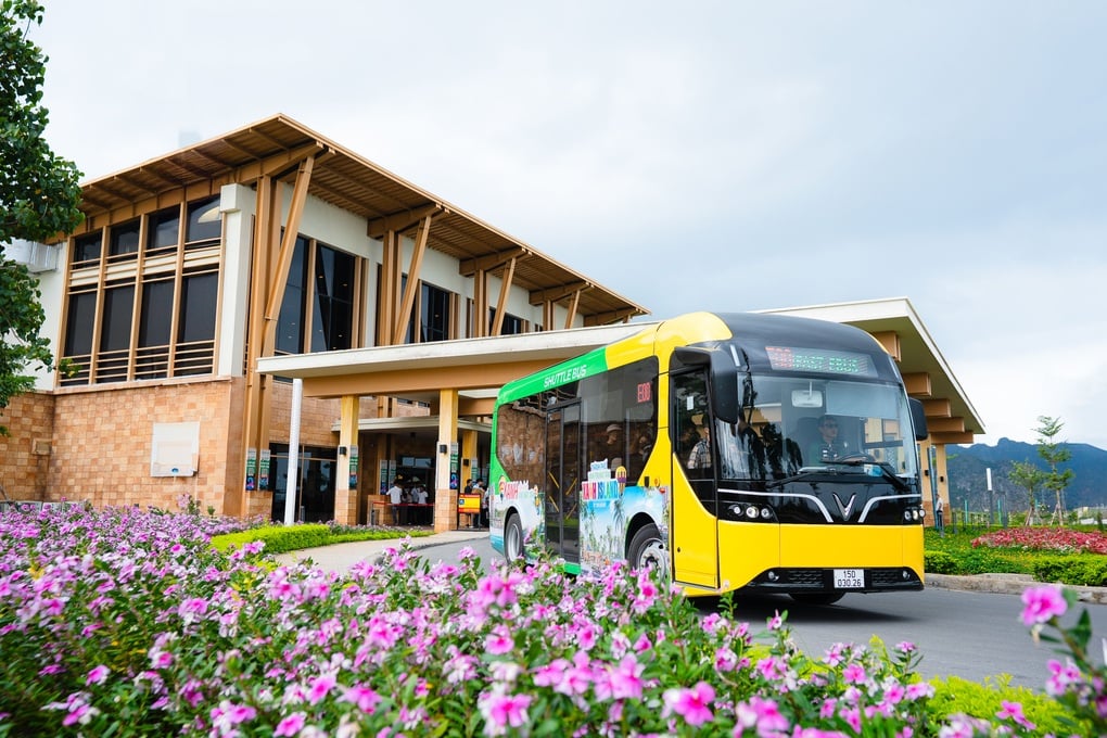 Cát Bà trở thành trung tâm du lịch giải trí mới mùa hè 2025 - 7