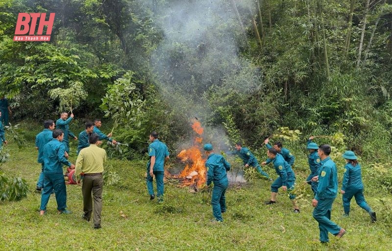 ランチャン森林保護局、森林保護に関する宣伝活動を強化