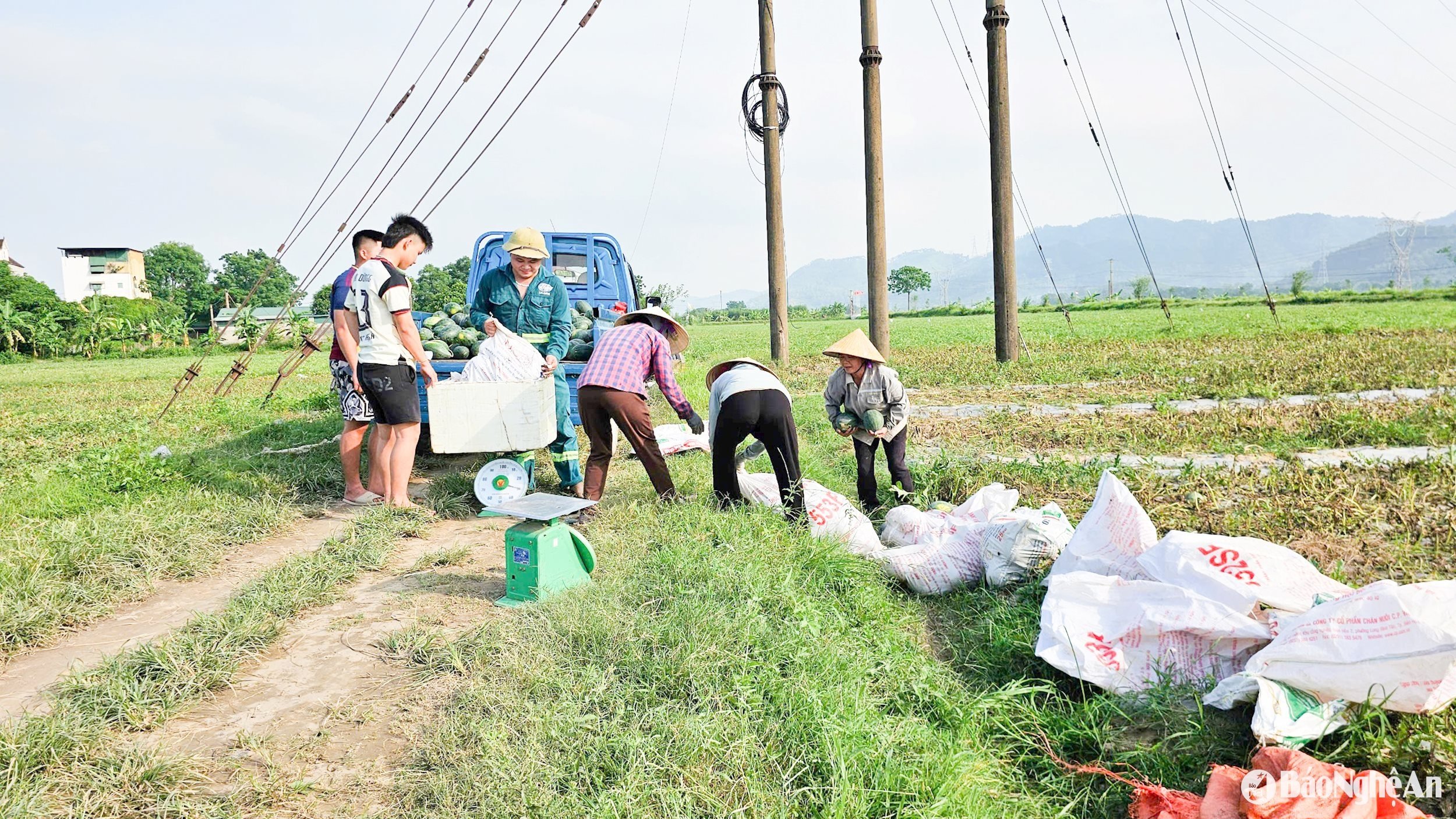 kết nối