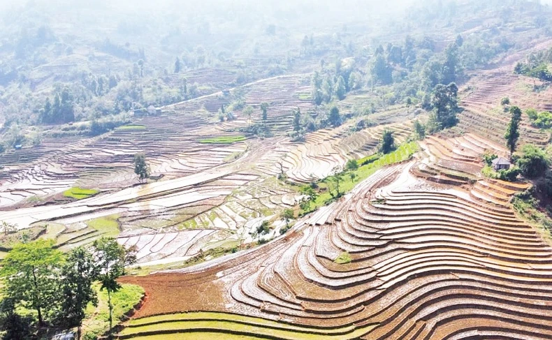 Y Tý mùa nước đổ ảnh 1
