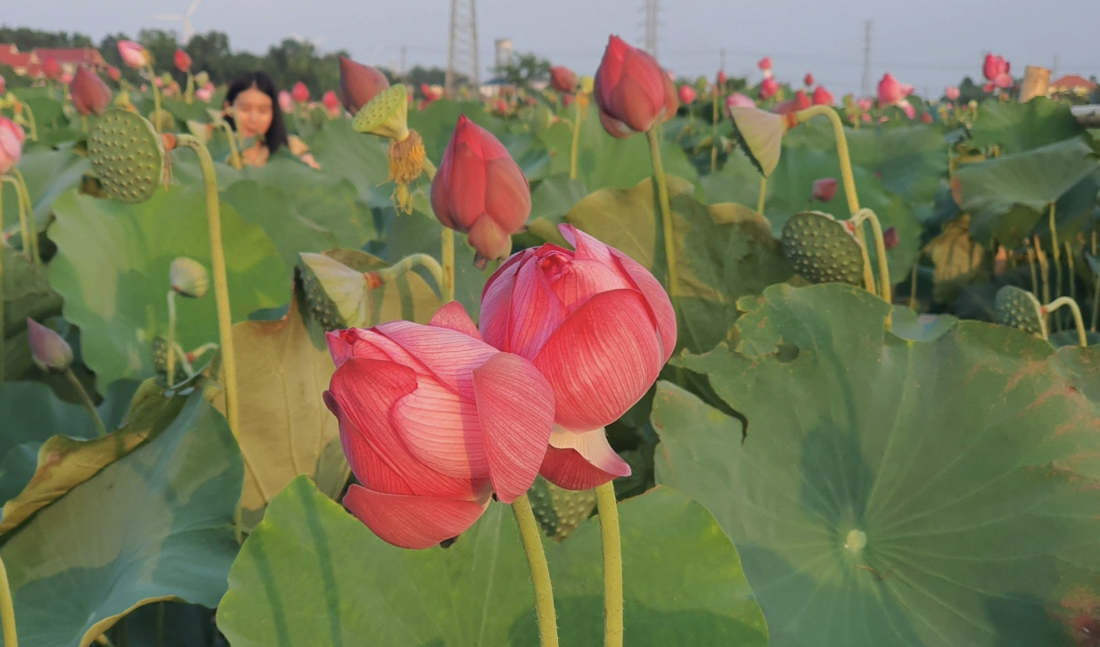 Tối nay, dõi theo nữ phi hành gia Mỹ gốc Việt đầu tiên bay vào vũ trụ - Ảnh 2.