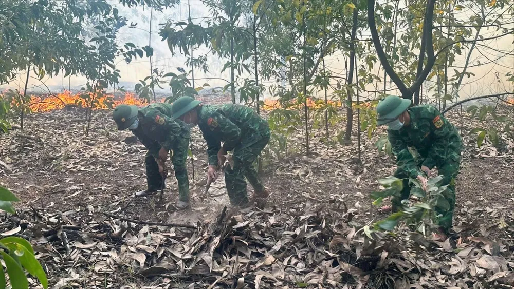 Cán bộ, chiến sĩ Đồn Biên phòng Phong Hải chữa đám cháy rừng