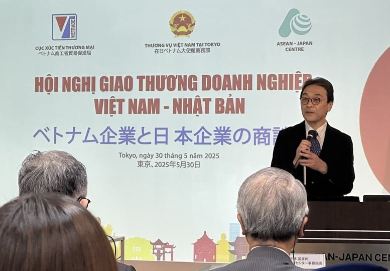 Kết nối giao thương doanh nghiệp Việt Nam - Nhật Bản- Ảnh 1.