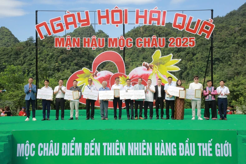 Ngày hội hái quả trên cao nguyên Mộc Châu ảnh 1