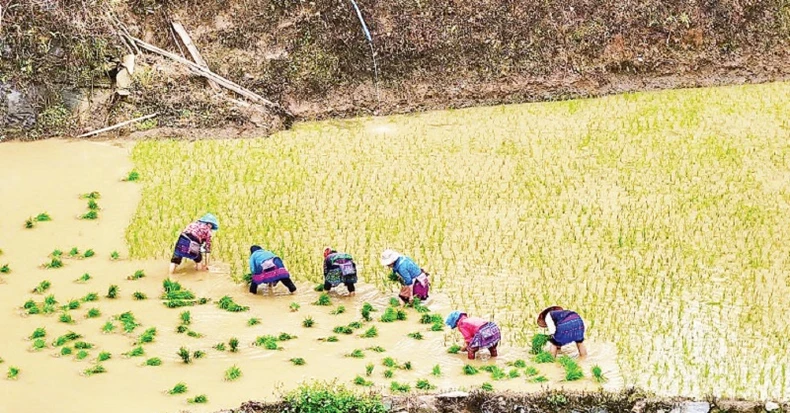 Y Tý mùa nước đổ ảnh 4