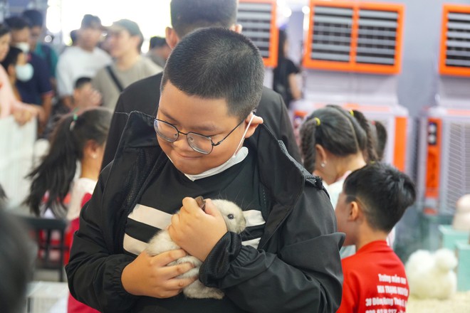 VIDEO: Sinh vật cảnh “đẹp, độc, lạ” đang trưng bày tại TP HCM - Ảnh 6.