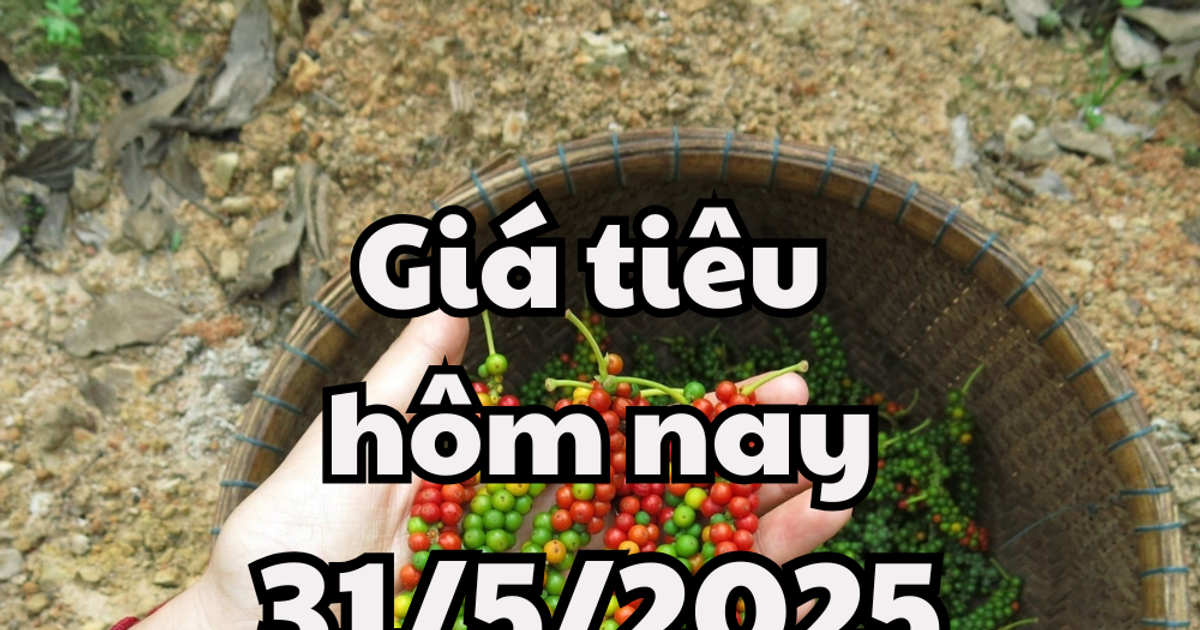 Der Pfefferpreis fiel heute, am 31. Mai 2025, aufgrund der