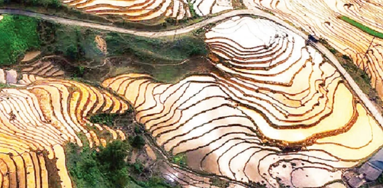 Y Tý mùa nước đổ ảnh 3