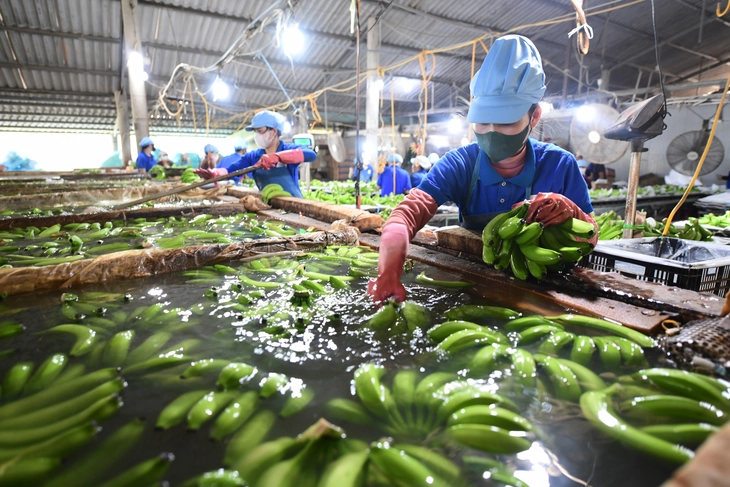Môi trường kinh doanh tốt, doanh nghiệp sẽ lớn mạnh - Ảnh 5.