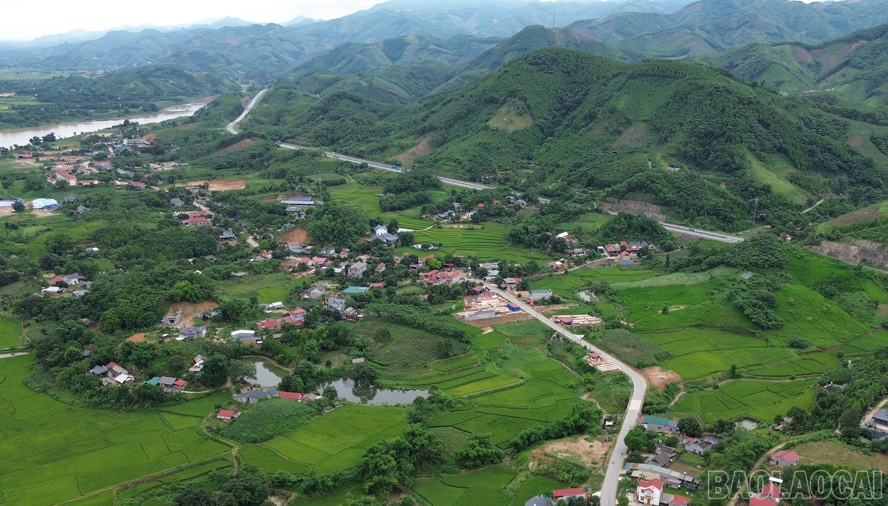 baolaocai-br_tan-an-1.jpg