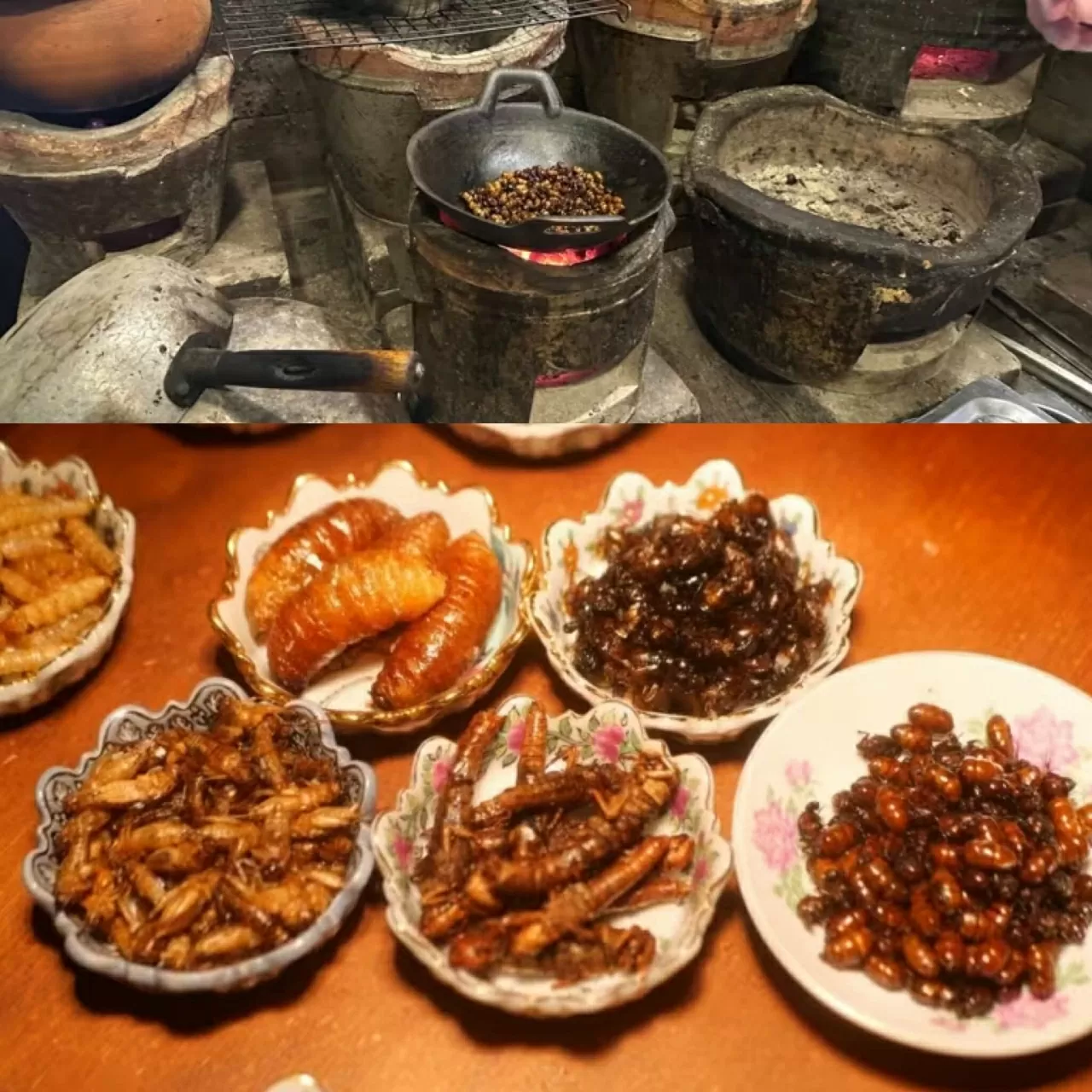 Côn trùng: Từ món ăn chợ quê đến bàn tiệc Michelin ở Thái Lan