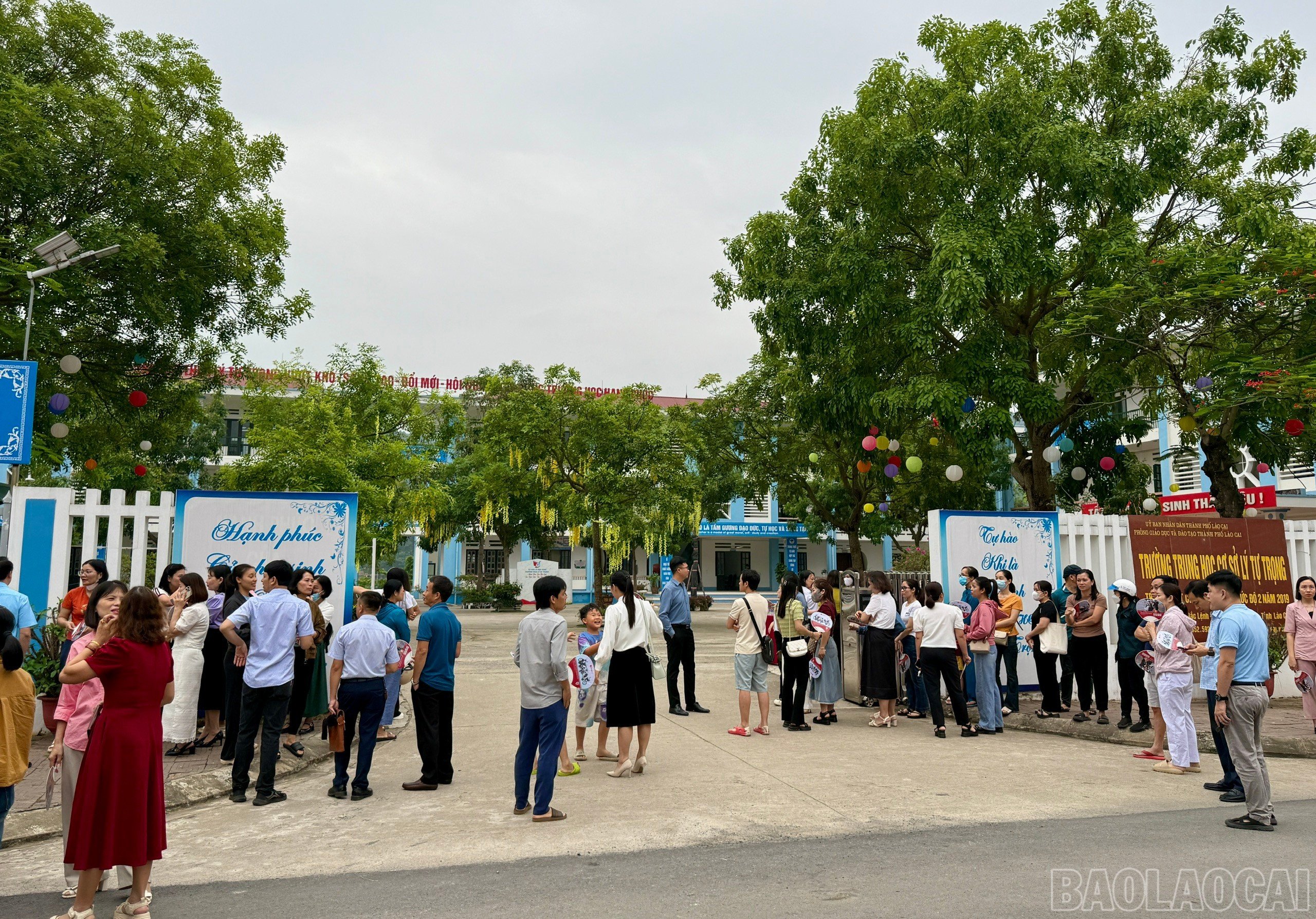 baolaocai-br_z6657632271589-e70fe579321407e8347e323435e69fd9.jpg
