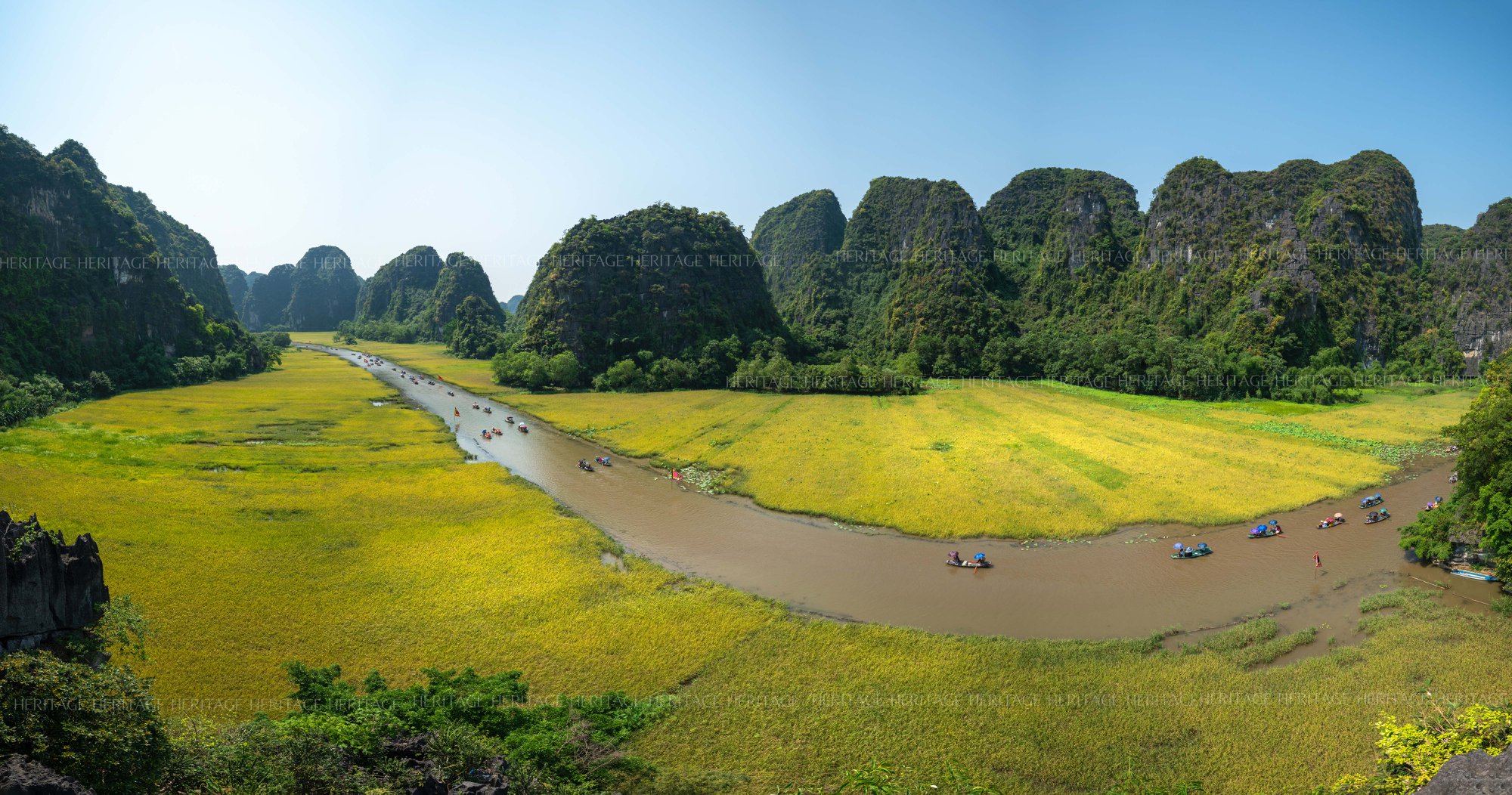 Sắc vàng Tam Cốc