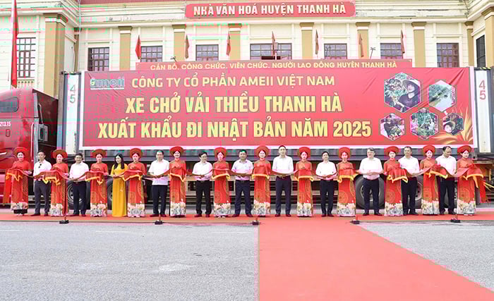 Hải Dương khai hội mùa vải: Lô vải thiều đầu tiên xuất sang Úc, Nhật Bản -0