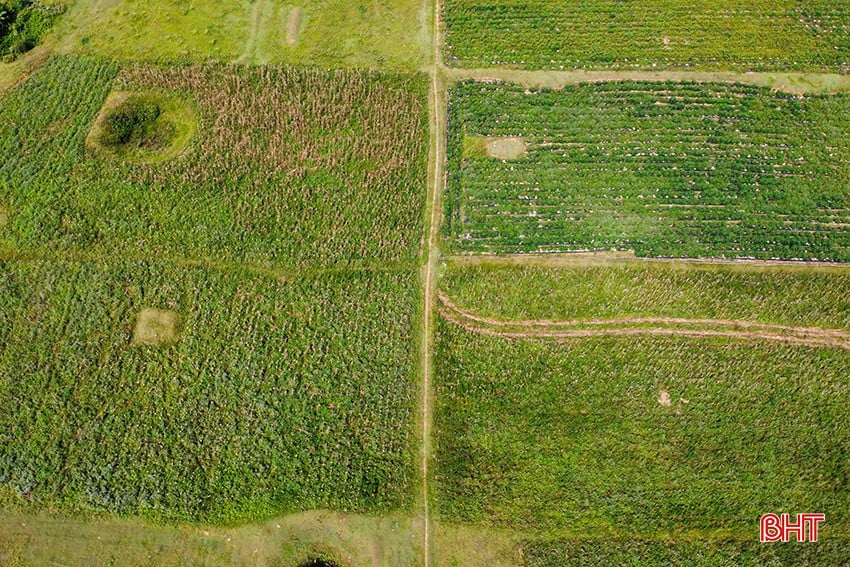 bqbht_br_1dji-0117.jpg
